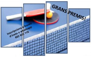 pingpong